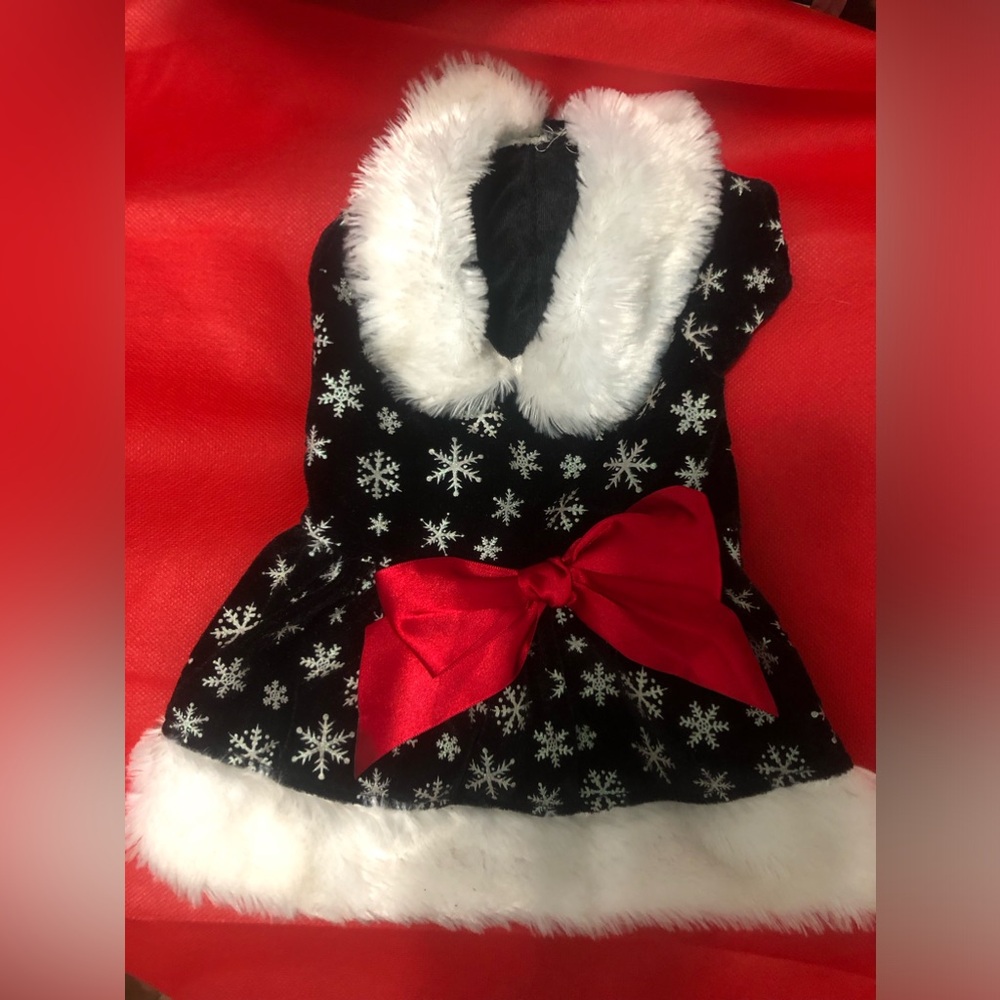 Dog jacket never been worn